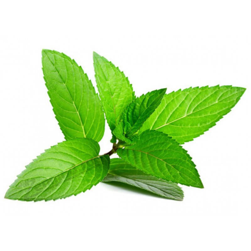 

Ароматизатор TPA Peppermint (Перечная мята) 5мл.
