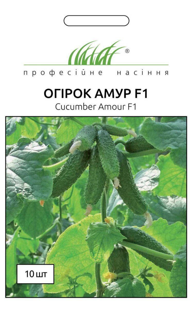 

Огурец Амур F1, Bejo Zaden, Нидерланды