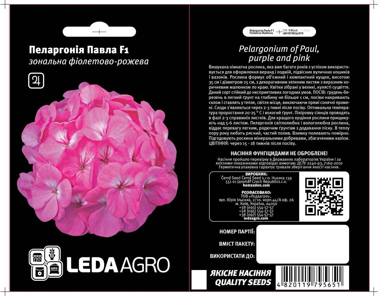 Павла F1, пеларгонія фіол.-рож. НОВИНКА (пеларгония)