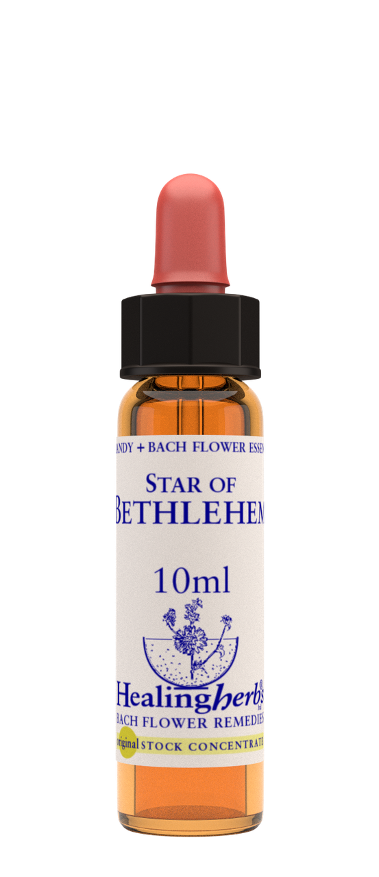 

Цветы Баха. STAR OF BETHLEHEM - Птицемлечник (№ 29) Healing Herbs