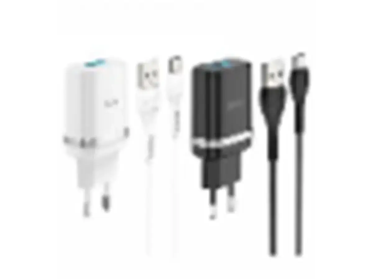 

Зарядное устройство 220В USB QC3.0 с кабелем USB - Type-C Hoco C12Q Smart 100шт 7938