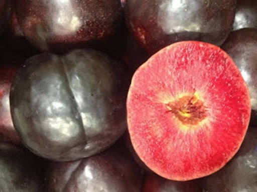 

Слива диплоидная "Блэк Сплендор"