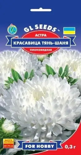

Семена Астры Красавица Тянь-Шаню (0.3г), TM GL Seeds