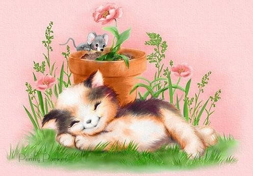 

Картина по номерам JS20478_O 20*30м J.Otten Котенок
