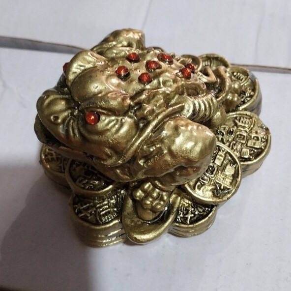 

Жаба денежная