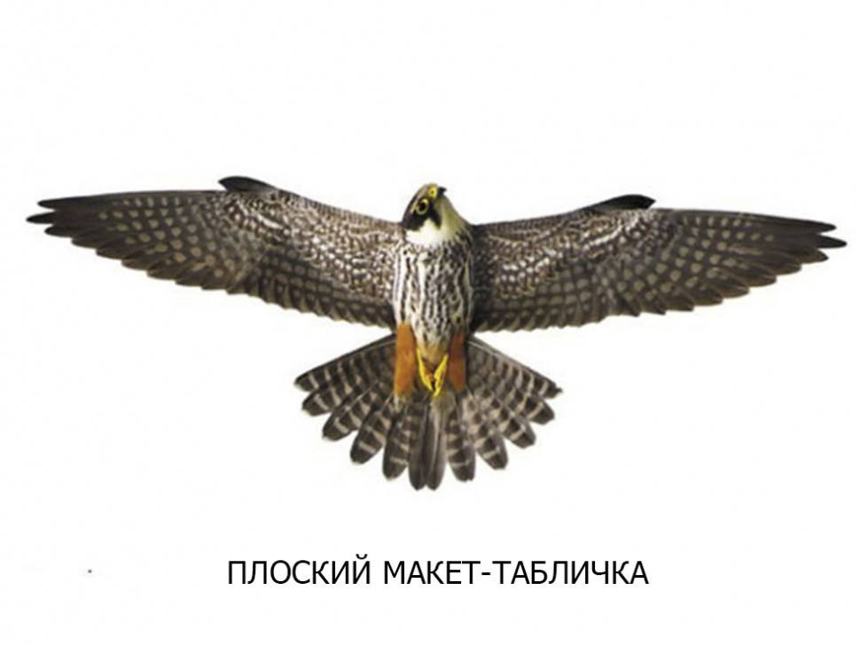 

Визуальный отпугиватель птиц ХИЩНИК-2