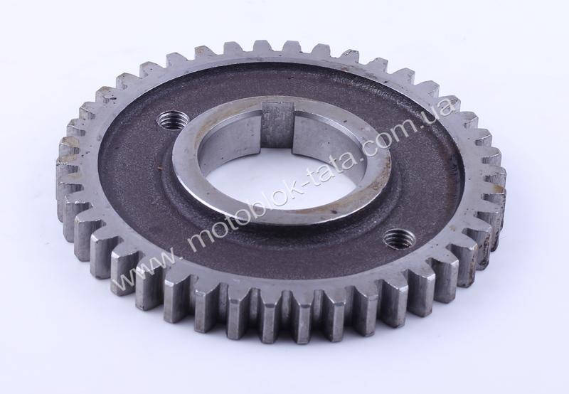 

Шестерня коленвала распределительная Z-42 - 195N