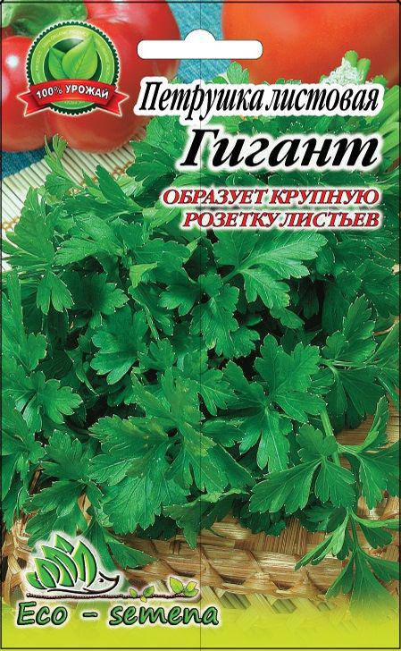 

Семена Петрушка листовая Гигантелла, 10 г