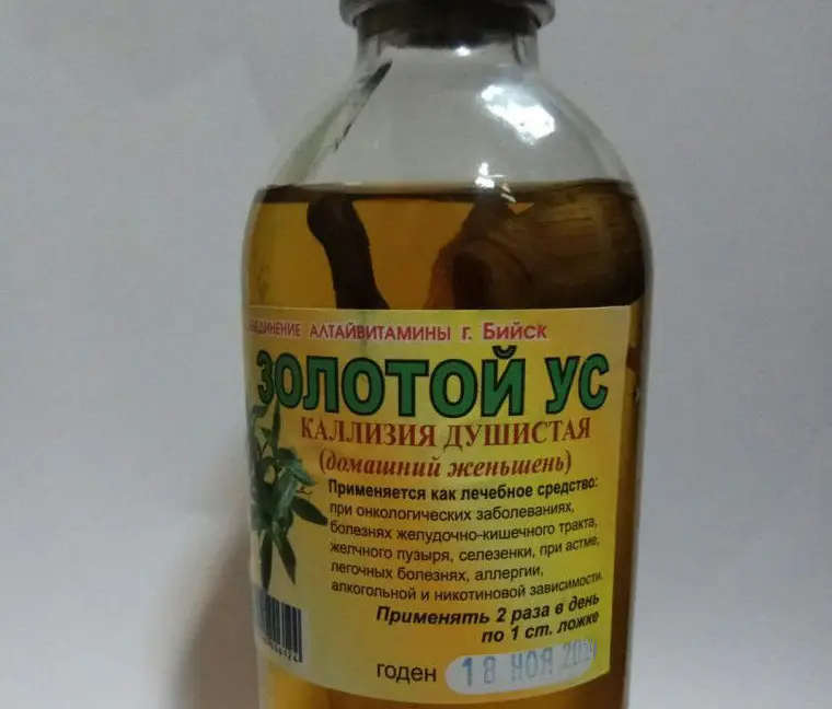 

Настойка Золотой Ус 250 мл