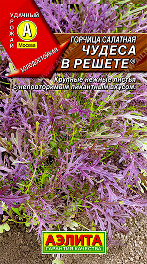 

Аэлита. Семена Горчица Чудеса в решете, 5 г