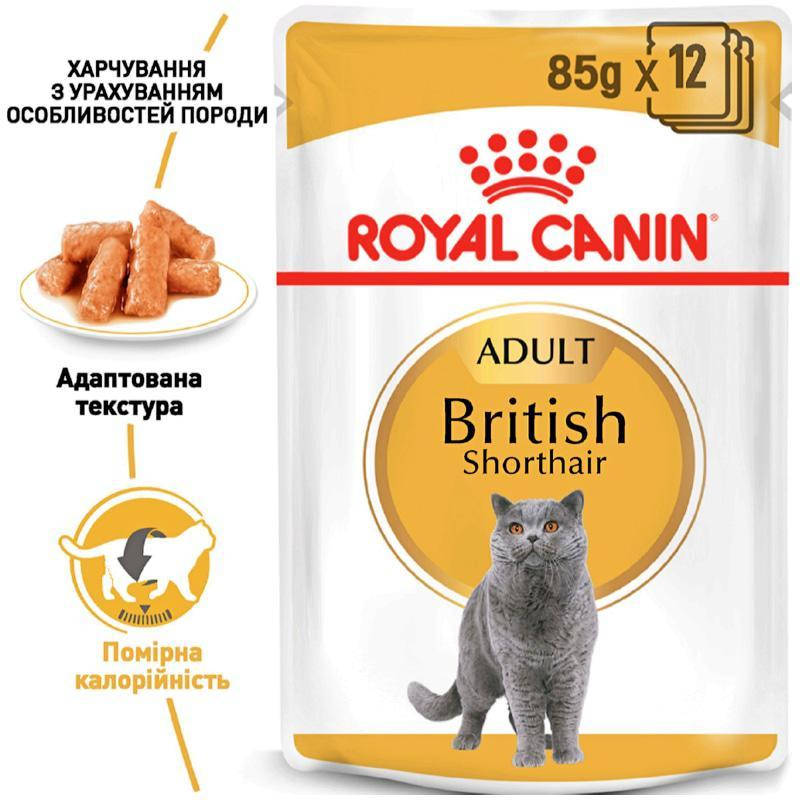 

Вологий корм для дорослих котів Royal Canin British Shorthair Adult 85 г (9003579001257)