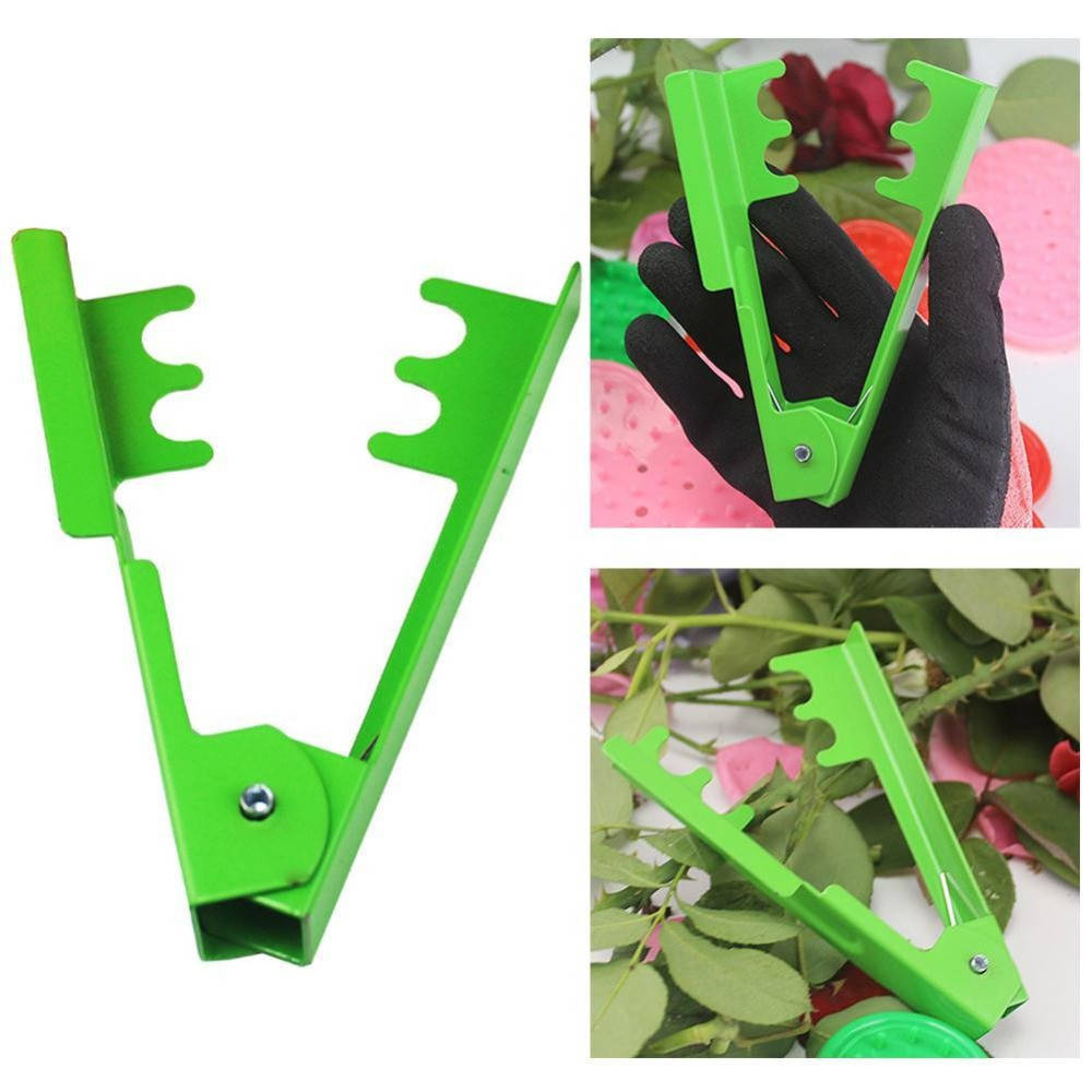 

Инструмент для обрезки роз