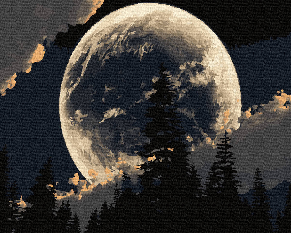 

Картины по номерам Лесное затмение