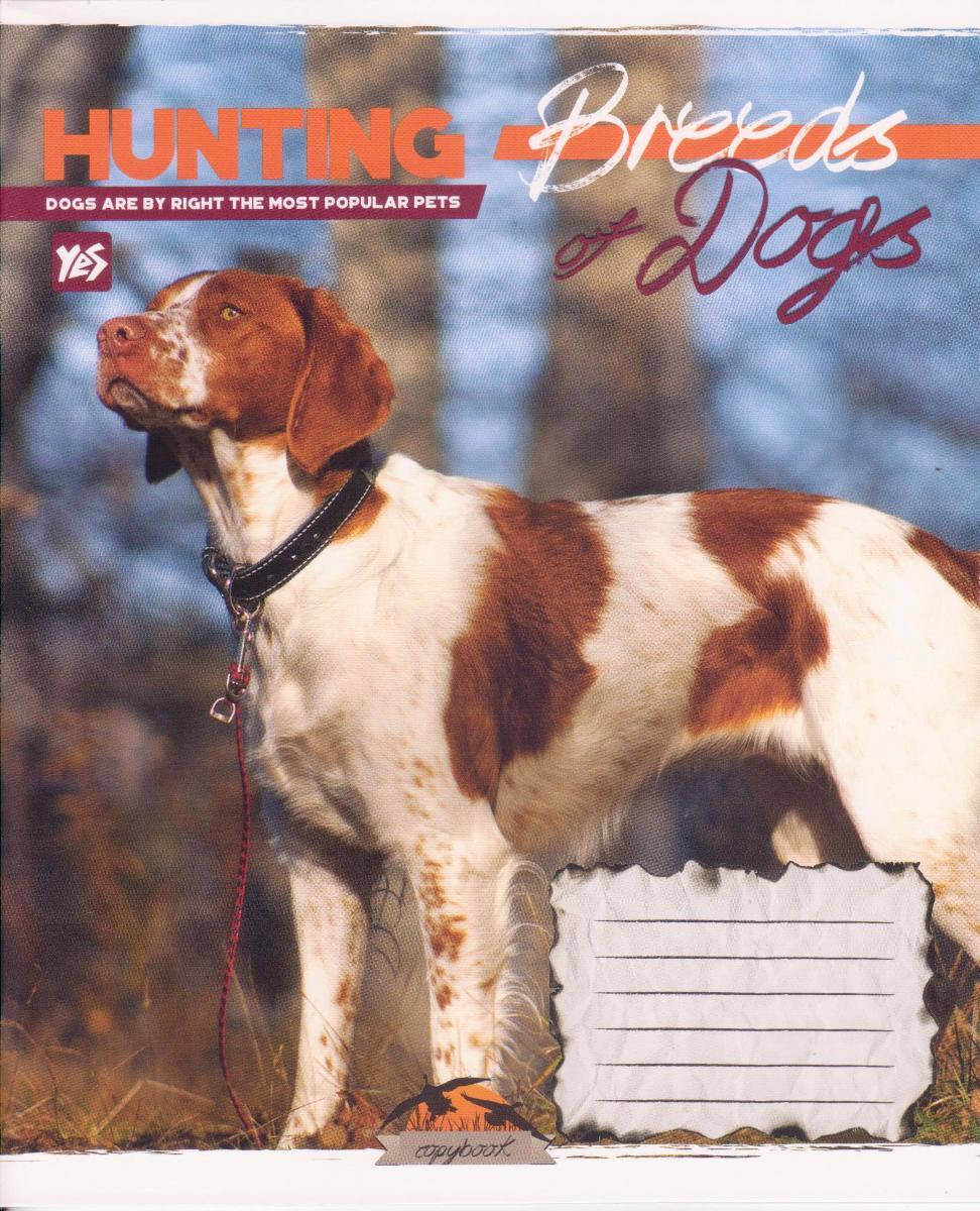 

Тетради 24 листа клетка "Hunting dogs" 761630