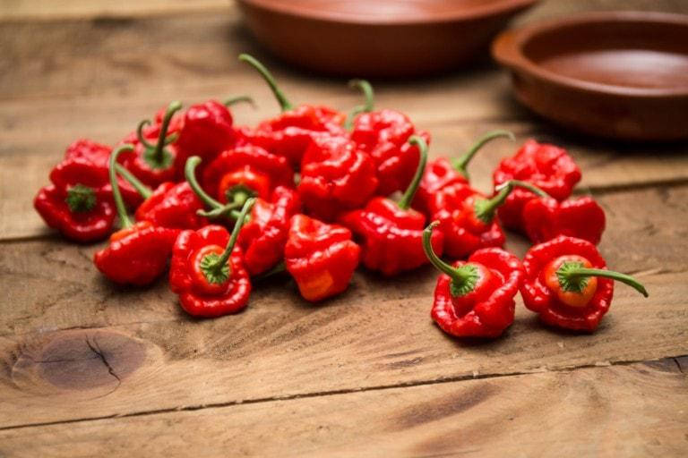 

Семена перца Шотландская шляпа (Scotch Bonnet)