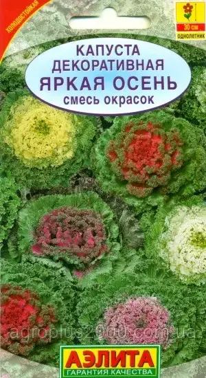 

Семена Капуста декоративная Яркая осень смесь 0,1 грамма Аэлита, Разные цвета