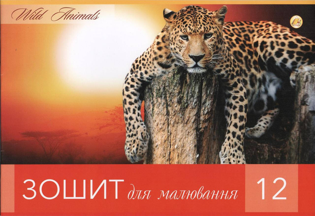 

Альбом для рисования А4 12 листов на скобе