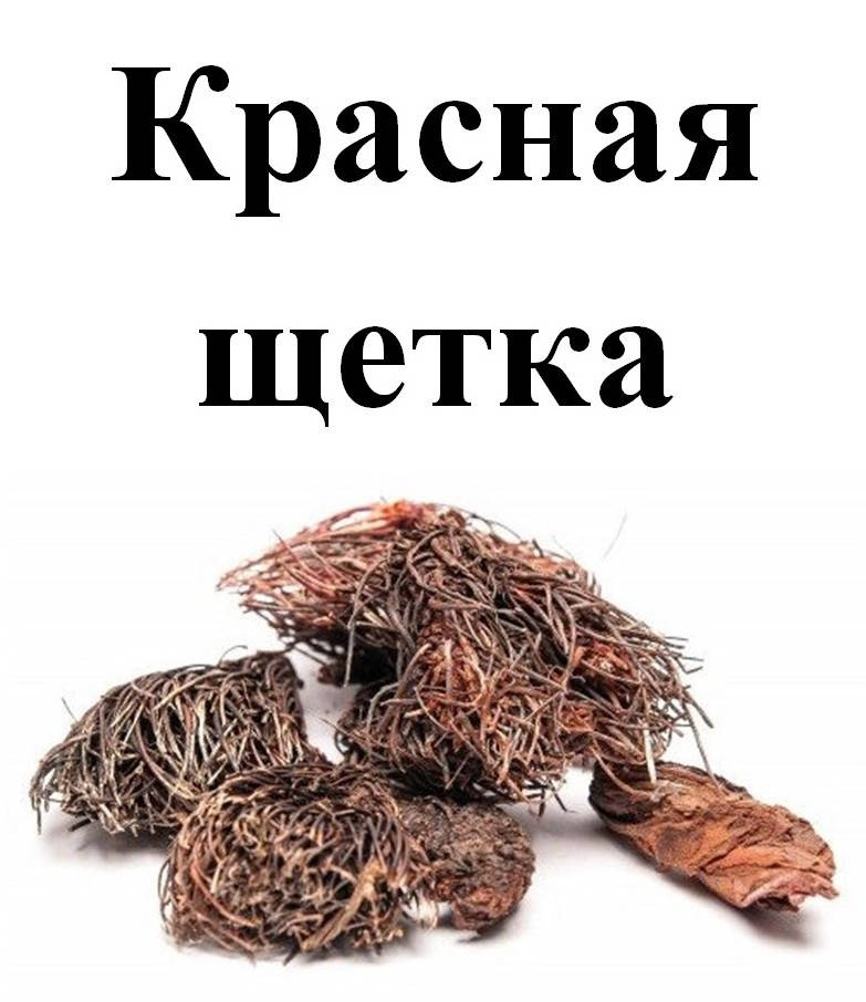 

Красная щетка корень, 35 грамм