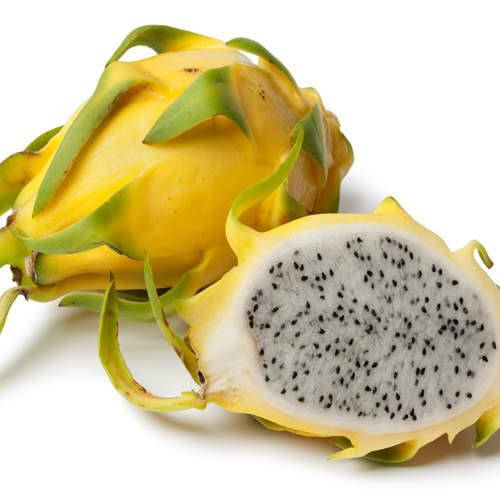 

Питахайя желтая (рассада), Dragon Fruit yellow