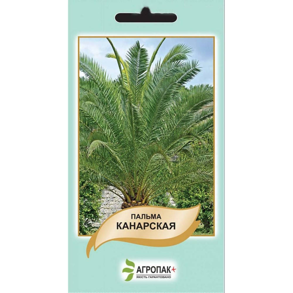 

Пальма Канарська 5нас(Агропакгруп)