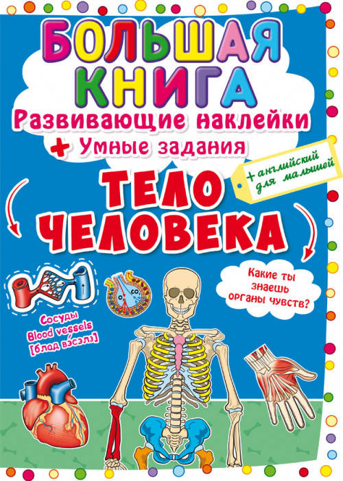 

БАО Большая книга. Развив. наклейк. Тело человека