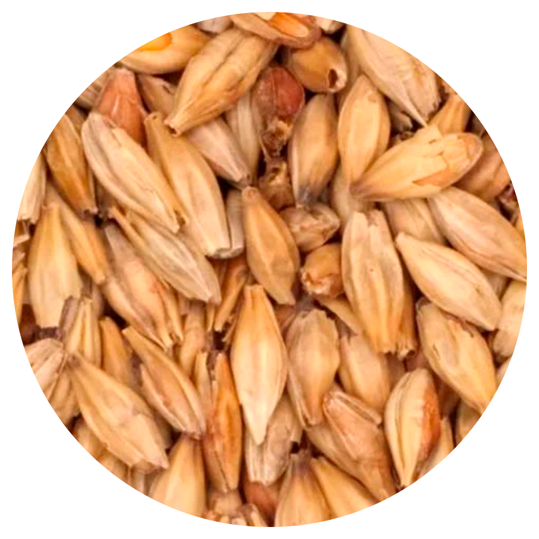 

Солод специальный Мелоноидиновый (Melanoidin Malt) 1кг