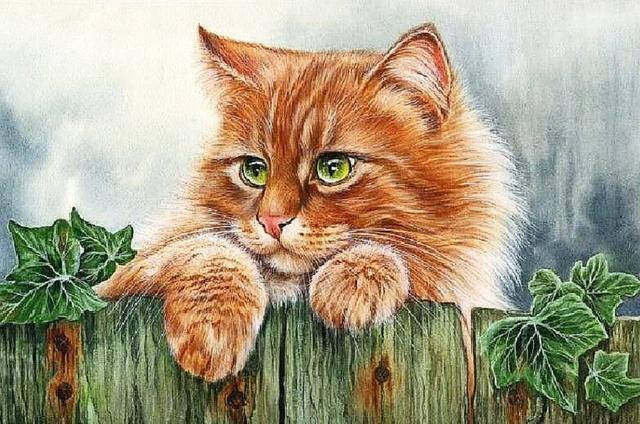 

Набор алмазной мозаики Рыжий кот 20x30 см