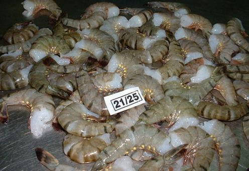 

Креветка б/г 21/25