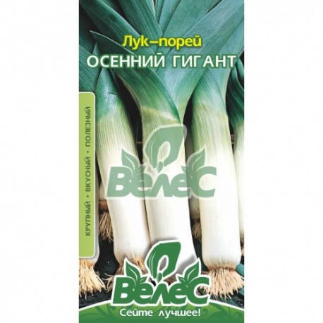 

Семена лука-порей Осенний гигант 2,5г ТМ ВЕЛЕС