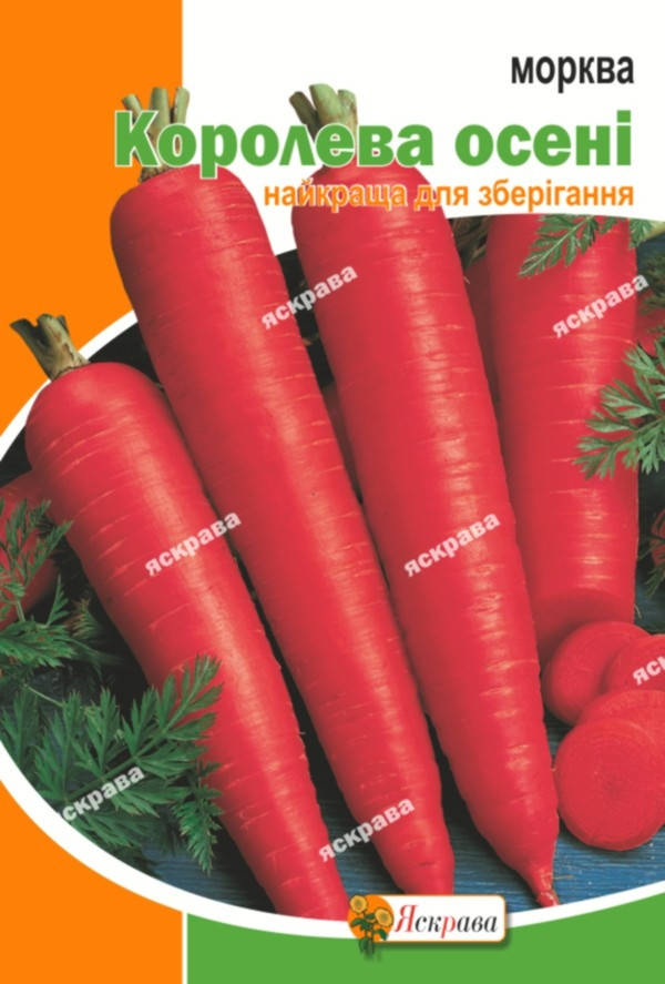 

Морковь Королева Осени 10 г, семена Яскрава