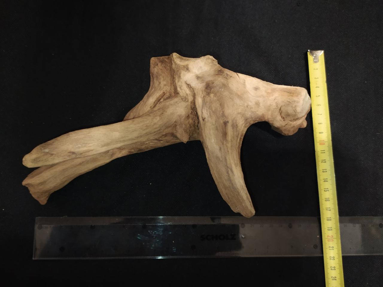 

Декор "Утёс". Дуб. Коряга. Для аквариума/террариума.