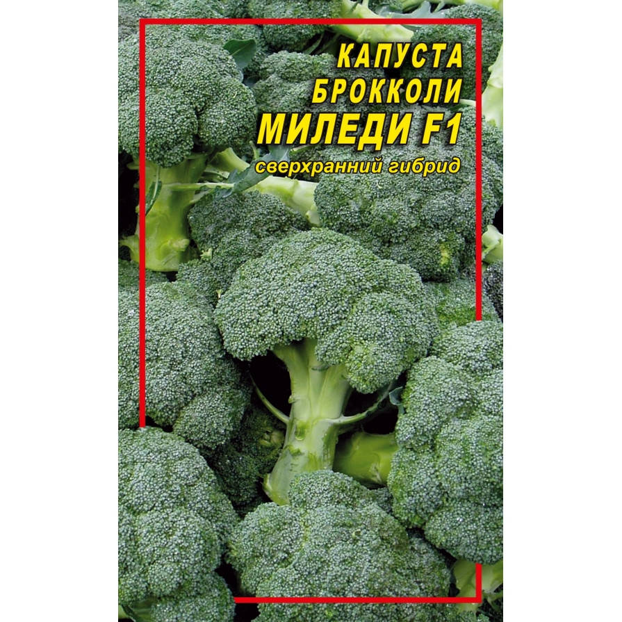 

Семена капусты Брокколи Миледи F1 10 шт.