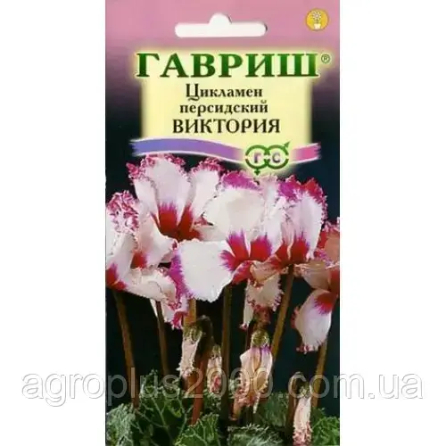 

Семена Цикламен персидский Виктория 3 сем Гавриш