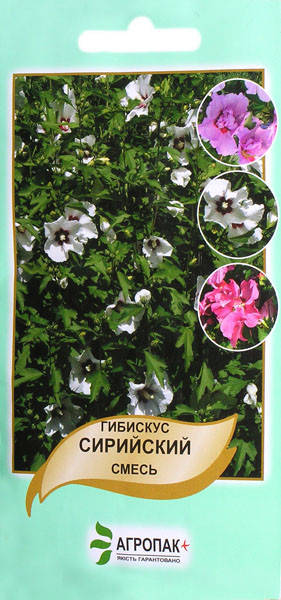 

Гібіскус сирійський суміш (0.4г)