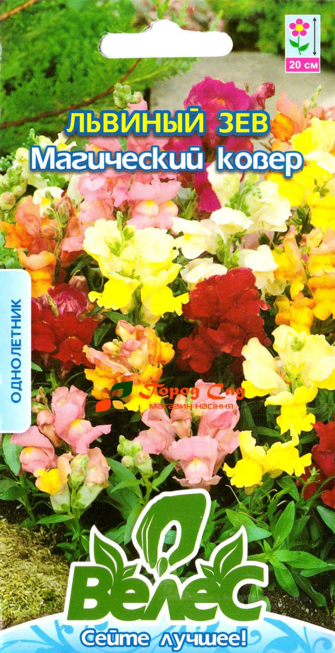 

Семена львинного зева Магический ковер 0,2г ТМ ВЕЛЕС