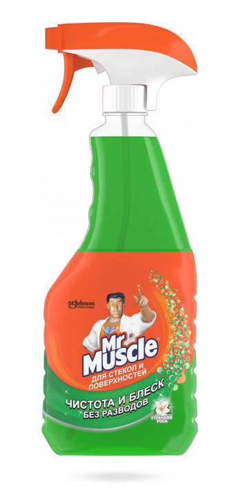 

Средство для мытья стекол Mr Muscle Утренняя роса 500 мл
