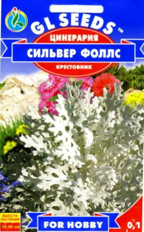 

Цинерария Сильвер фоллс - 0.1г - Семена цветов, Белый