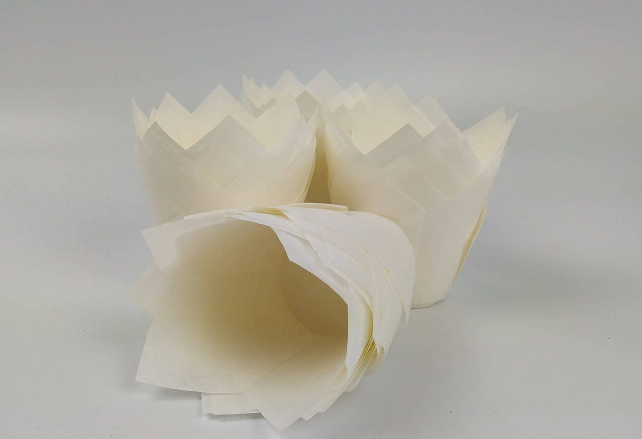 

Бумажная форма Тюльпан