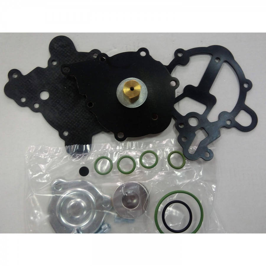 

Р/к редуктора Tomasetto Alaska (AT09) (крышка, болты, фильтр, резинки)