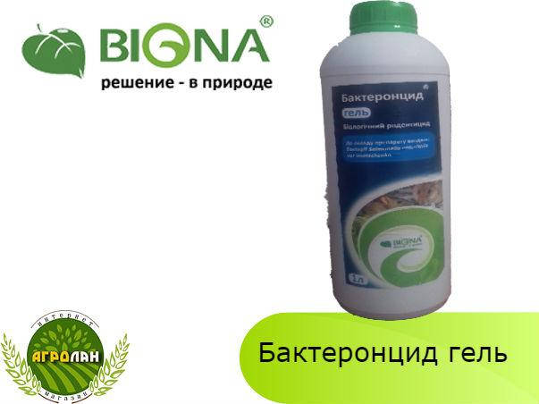 

Родентицид Бактеронцид гель