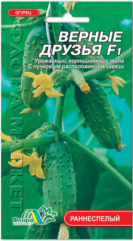 

Огурец Верные друзья F1