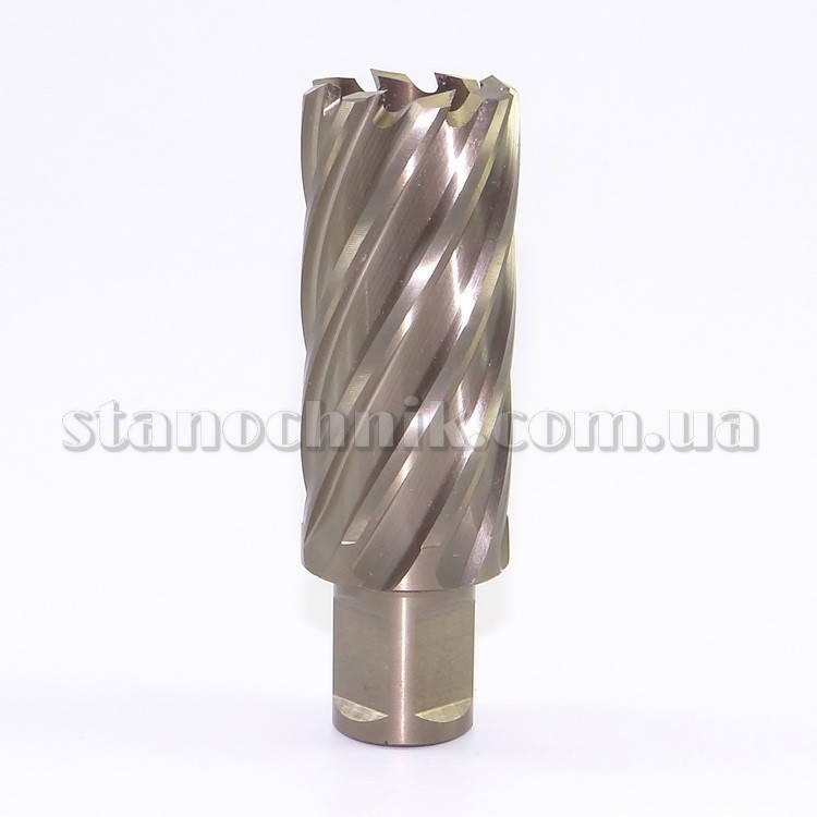 

Фреза кольцевая 32x55 мм HSS-XE Weldon Gold-Line KARNASCH (201270U032)