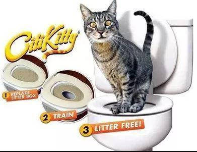 

Туалет для кота Citi Kitty для приучения кошки к унитазу