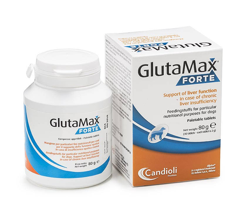 

Candioli GlutaMax Forte 20 табл для поддержания функций печени собак