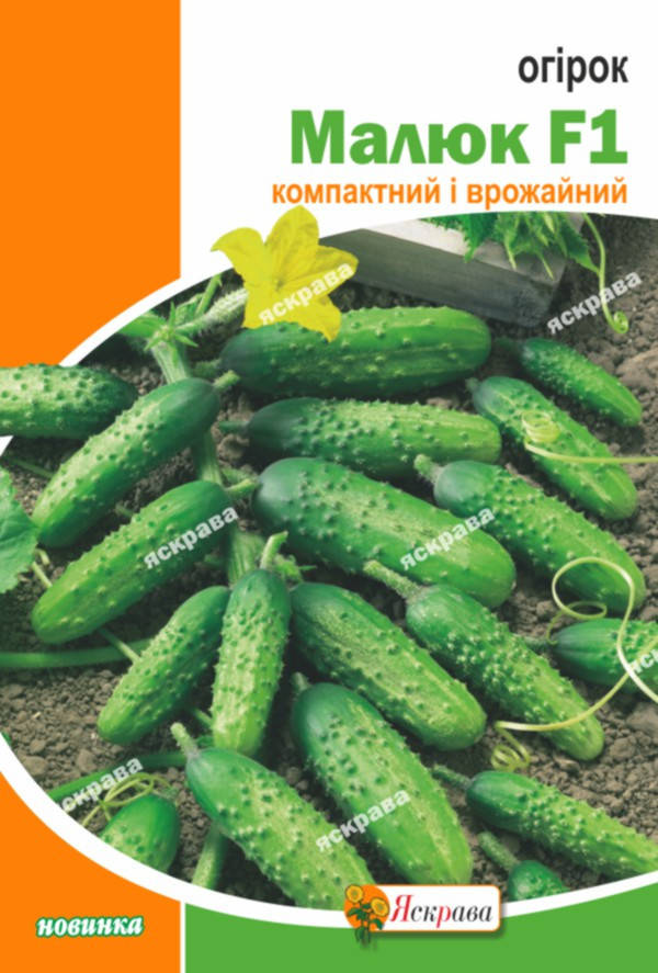 

Огурец Малыш F1 5 г, семена Яскрава