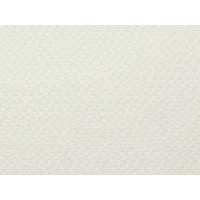 

Бумага акварельная B2 Rusticus Neve 280g. Fabriano