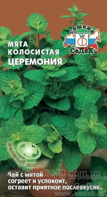 

Семена Мята колосистая Церемония 0,05 грамма Седек