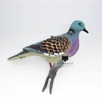 

Чучело горлицы