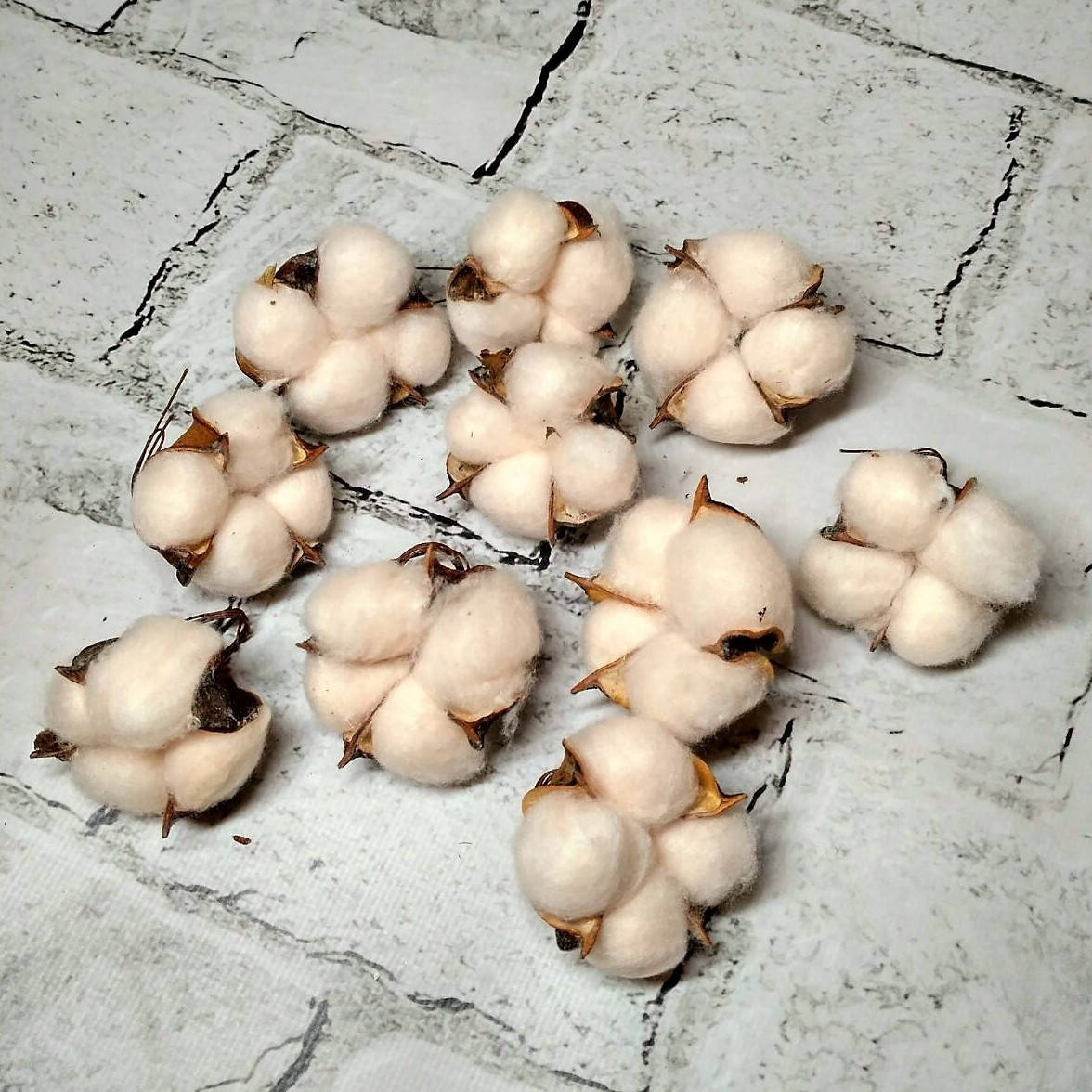 

Натуральный хлопок, сухоцвет головки хлопка, айвори, 10 шт