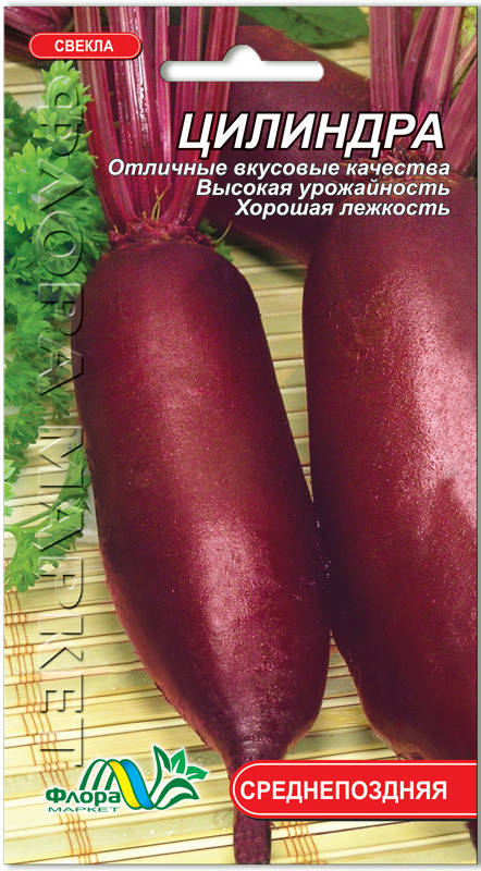 

Свекла Цилиндра